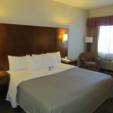 Comfort Inn San Jose International Airport Camera foto